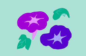 朝顔の花のイラスト