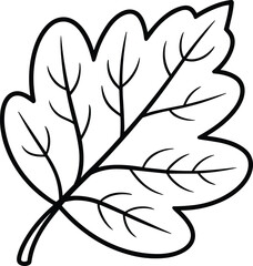 Leaf Line Art Vector Illustration