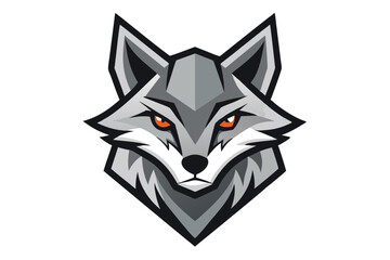 Fierce gray wolf stares intensely with its bright orange eyes on a white background