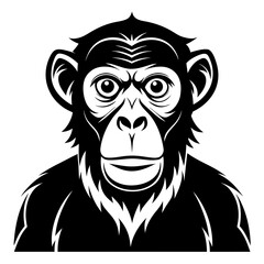 Obraz premium Chimpanzee vector black animal silhouette on white background