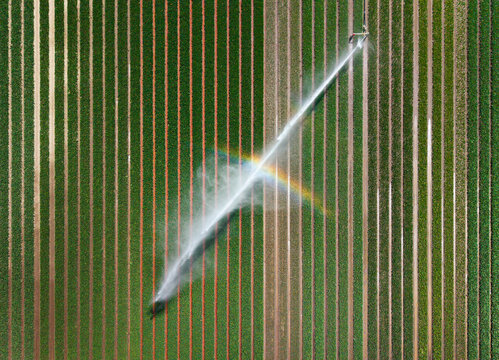 Aerial view of a sprinkler system watering farmland during a drought in the Netherlands with a visible rainbow