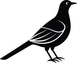 vector illustration of a bird