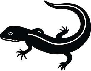 lizard isolated on white