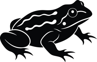vector illustration of a frog
