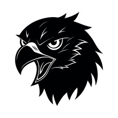 Brahminy Kite Angry Expression