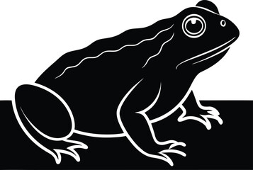 vector illustration of a frog