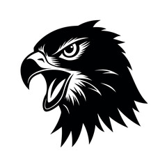 Obraz premium Mountain Hawk Eagle Angry Art