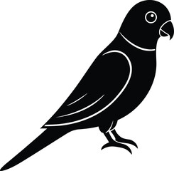 vector illustration of a bird