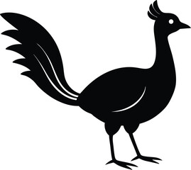 vector illustration of a peacock