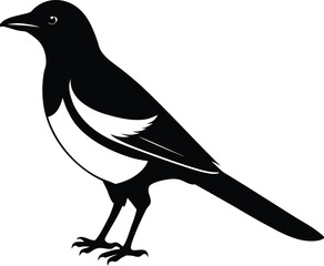 vector illustration of a crow