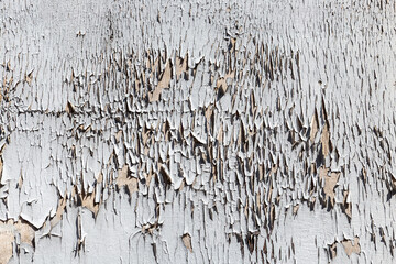 pattern of old grey painted wooden wall with peeling grey color symbolizing time