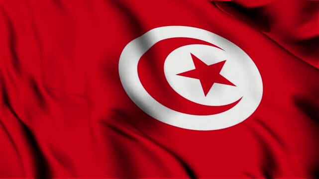 3D animation of the national flag of Tunisia waving in slow motion. Close-up view with realistic fabric texture in 4K resolution. Ideal for Independence Day, patriotic videos, and national celebration
