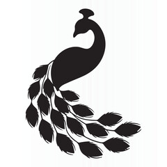 Stylized silhouette of peacock vector illustration for an icon ,t-shirt and peacock template logo	