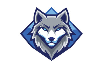 Fierce gray wolf head stares intently forward with determined eyes over white background