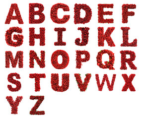 Alphabet letters A to Z composed of red roses and green leaves isolated on transparent background