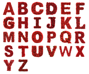 Alphabet letters A to Z composed of red roses and green leaves isolated on transparent background