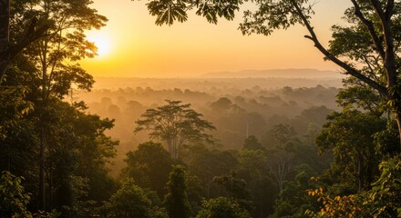 Golden Sunrise Over Misty Tropical Forest