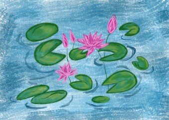 lotus flower on the water. Illustration