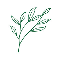 Simple green leafy branch outline isolated on white background