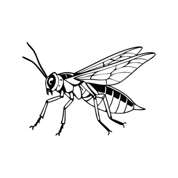 black and white wasp insect clip art preview
