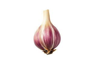 Single Garlic Clove, Isolated on Transparent PNG, Studio Shot, Vibrant Purple Hues, Fresh Ingredient