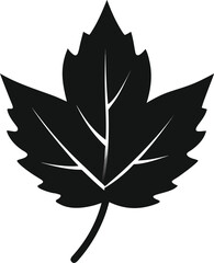 leaf silhouette vector