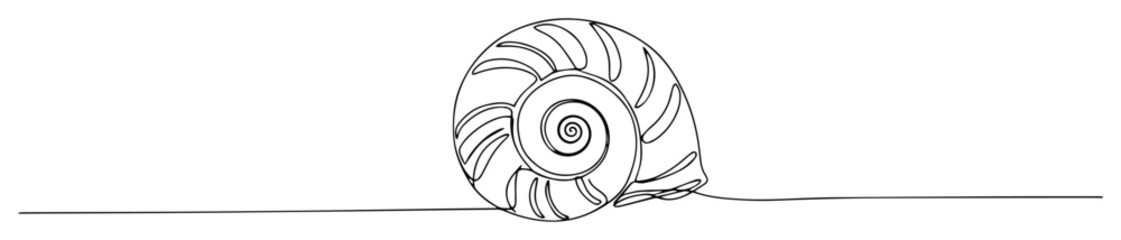 spiral seashell marine animal line drawing
