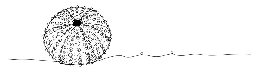 sea urchin on ocean floor line illustration