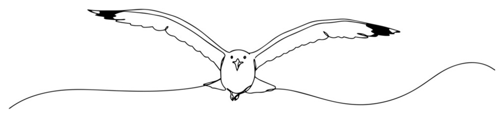 seagull flying toward viewer