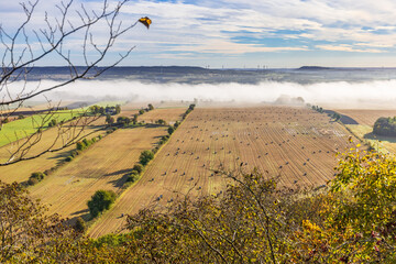 Autumn leaf in a rural landscape view