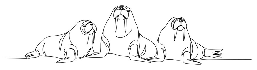 three walruses continuous one line drawing