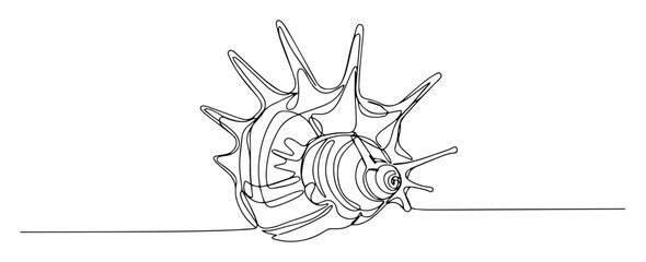 spiked sea shell vector line drawing