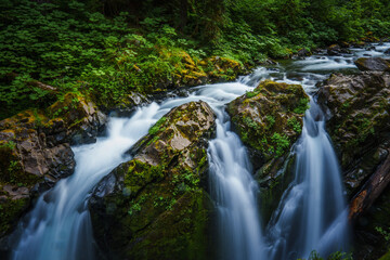 waterfall in the forest