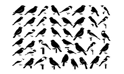 A collection of many bird silhouettes arranged on a white background