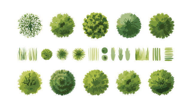 Top View Tree and Grass Collection for Landscaping and Architectural Design