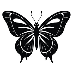 Detailed black butterfly shows bold pattern with white accents on its open wings