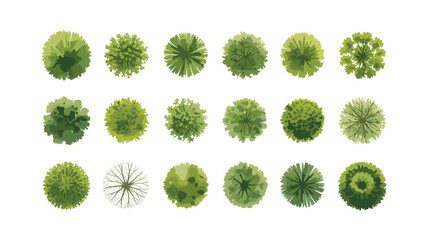 Top-Down View of Various Green Trees, Diverse Foliage and Shapes for Landscape Design © Gerald I. Mastin