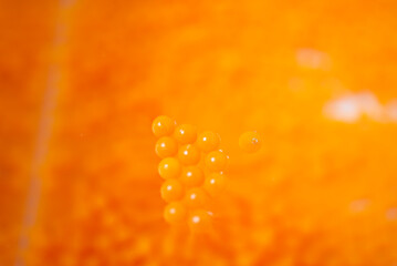 Petites billes en plastique orange