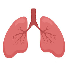 vector illustration of the theme of the respiratory organs of the lungs