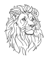majestic lion head with mane line art drawing