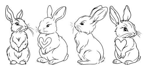 cute rabbits sitting with heart design on fur