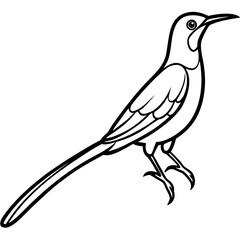 Obraz premium vector illustration of a bird