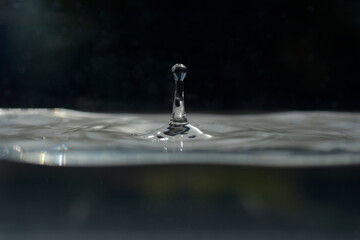 Gouttes d'eau dans un bassin aquarium