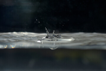 Gouttes d'eau dans un bassin aquarium