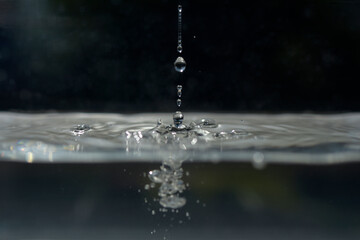 Gouttes d'eau dans un bassin aquarium