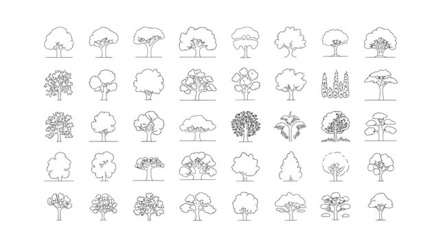 Diverse Tree Outline Collection: Vector Set of Botanical Illustrations for Design and Education