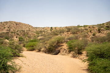 Dry river bed in a rural area outside of Massawa, Eritrea