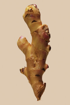 Still life of ginger root on beige background
