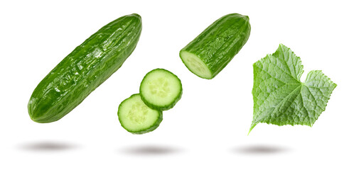 cucumber isolated on white background. clipping path