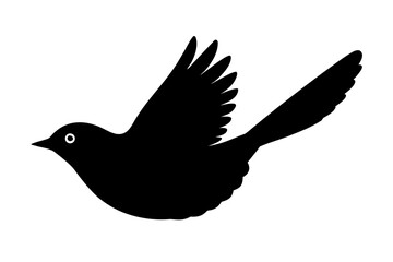 Obraz premium dove isolated on white background